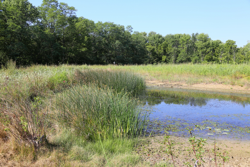 Full Size Image = 8765 K