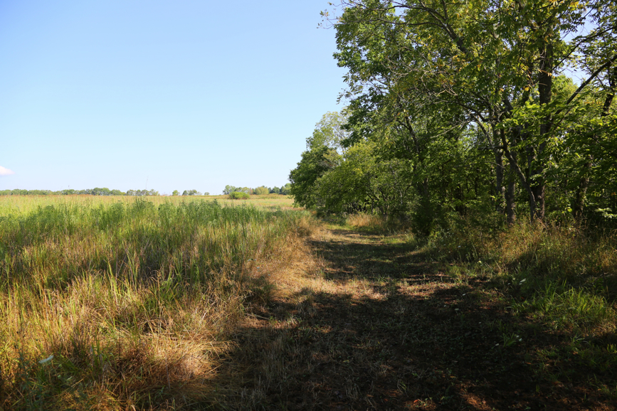 Full Size Image = 6985 K