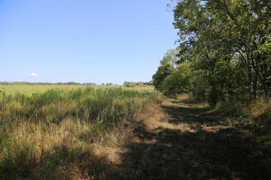 Full Size Image = 6139 K