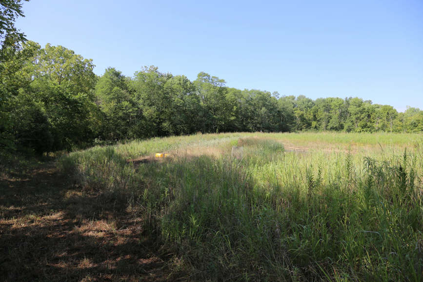 Full Size Image = 6097 K