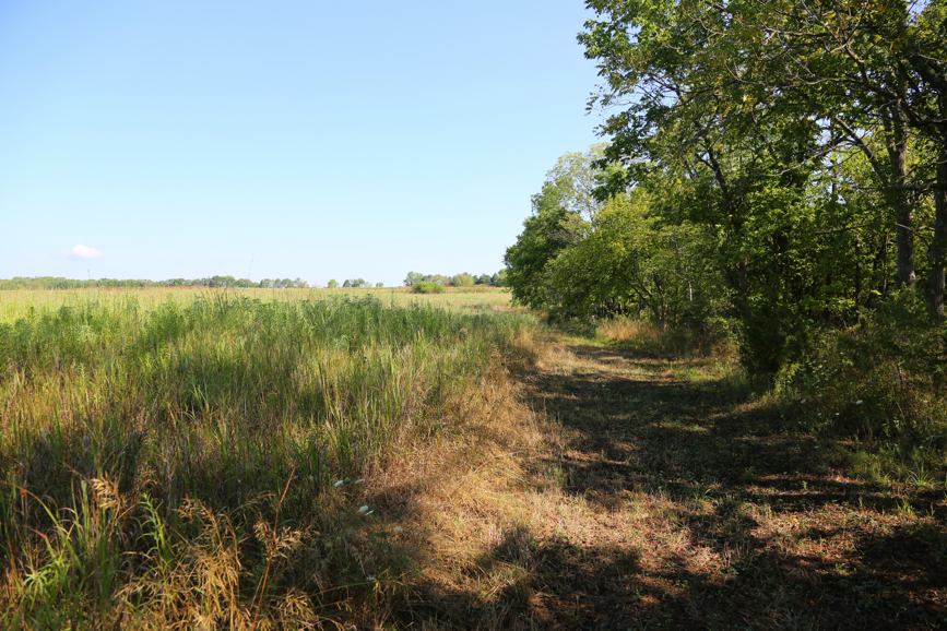 Full Size Image = 6701 K