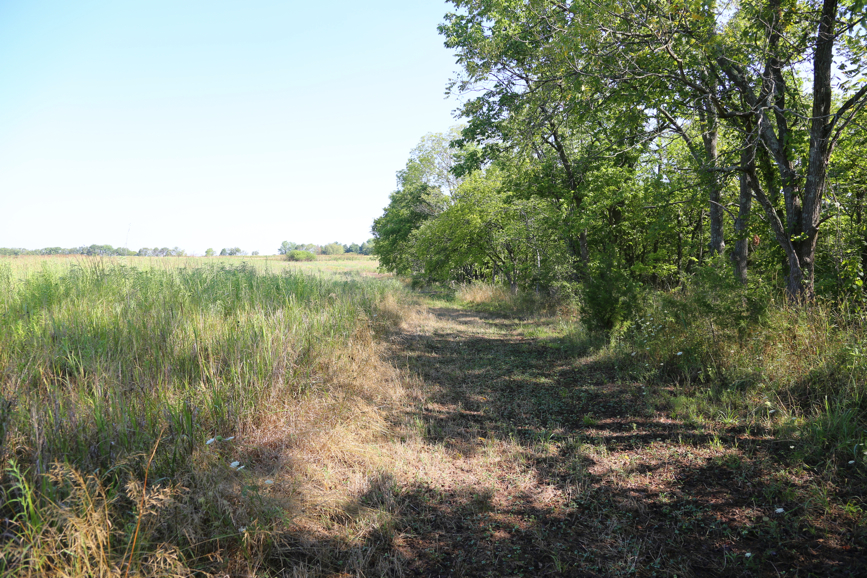 Full Size Image = 7391 K