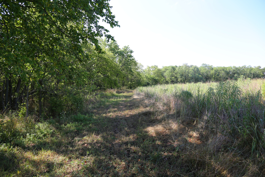 Full Size Image = 6899 K