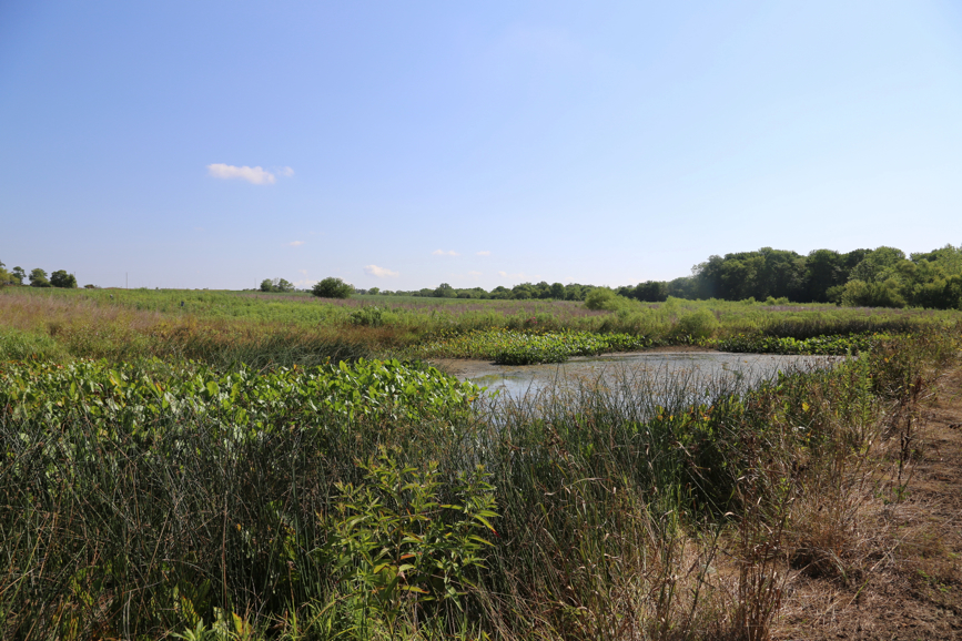 Full Size Image = 5855 K