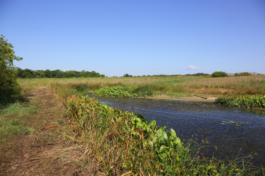 Full Size Image = 6377 K