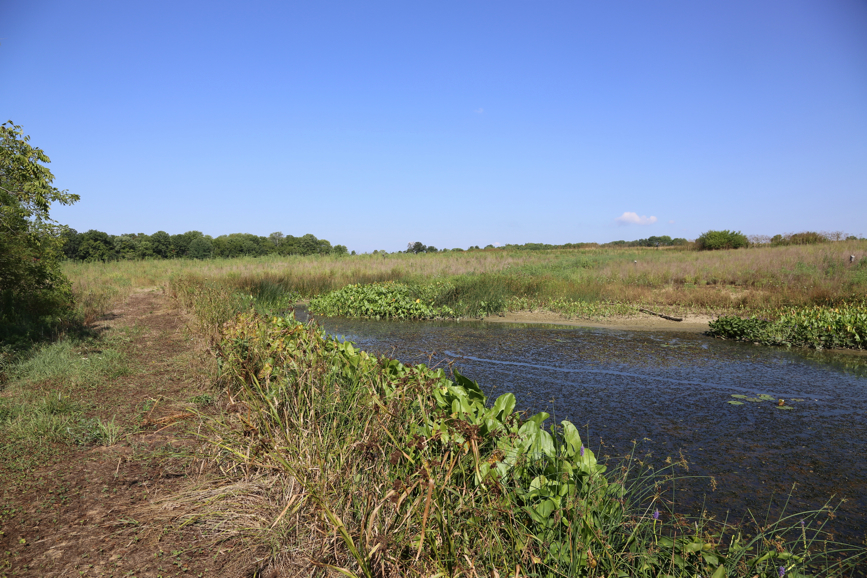 Full Size Image = 6227 K