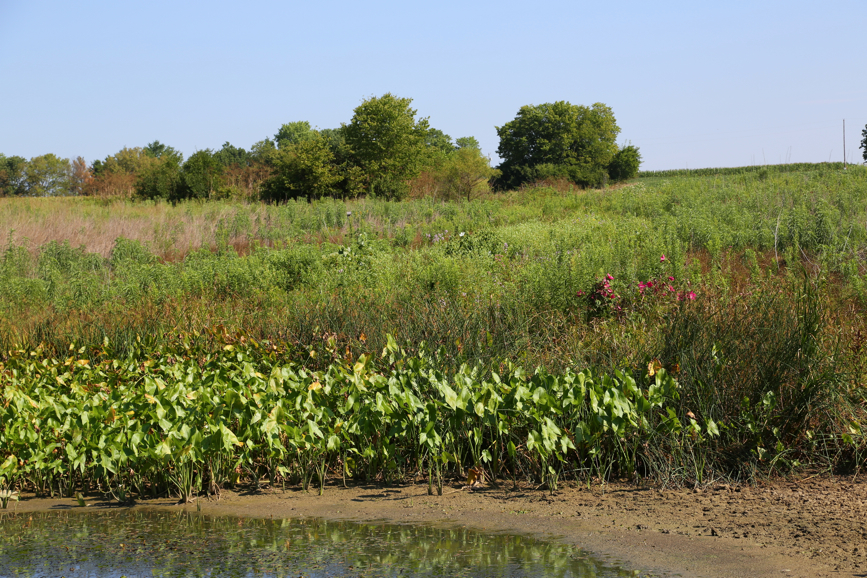 Full Size Image = 7557 K