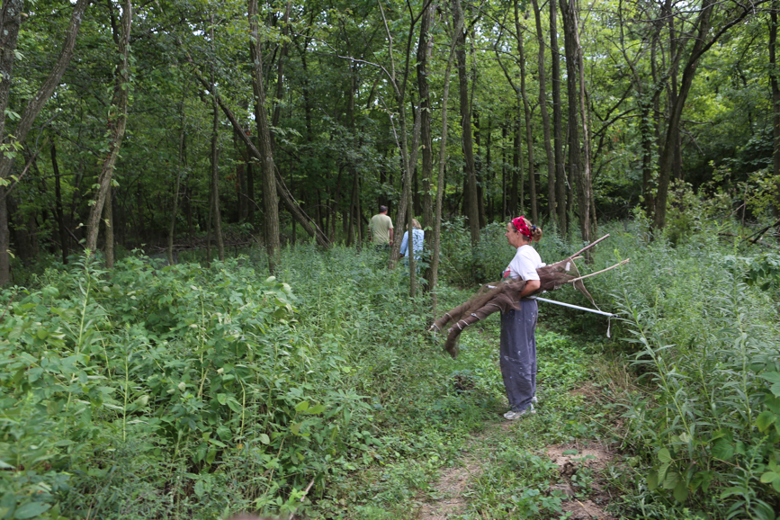 Full Size Image = 6314 K