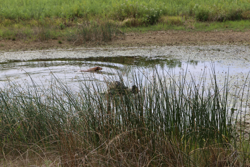 Full Size Image = 6123 K