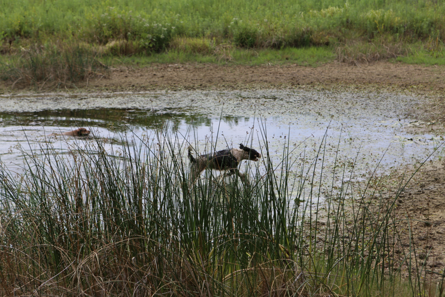 Full Size Image = 5742 K