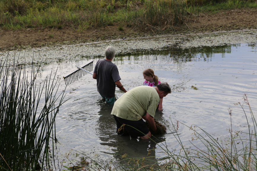 Full Size Image = 5282 K