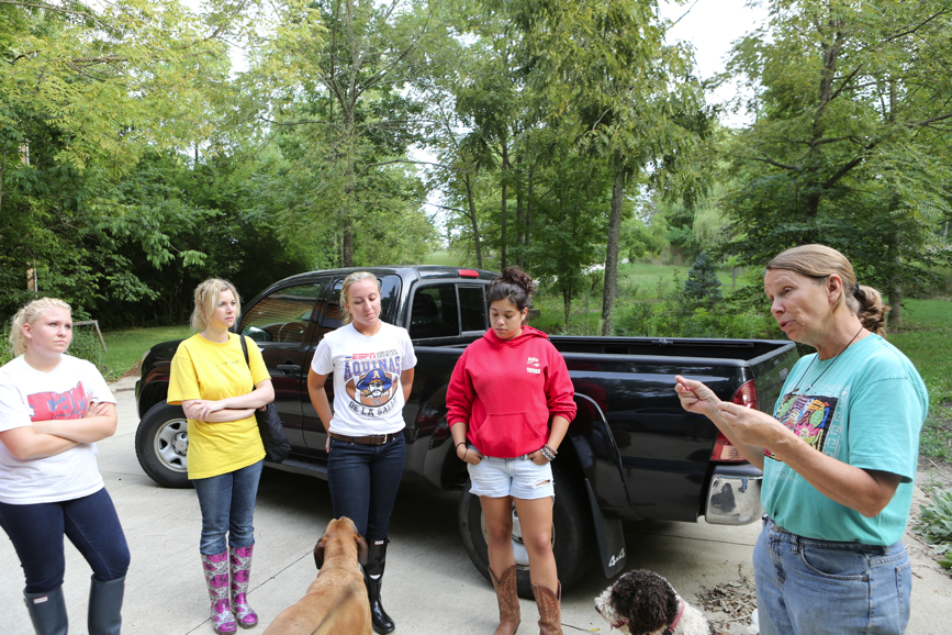 Full Size Image = 6246 K