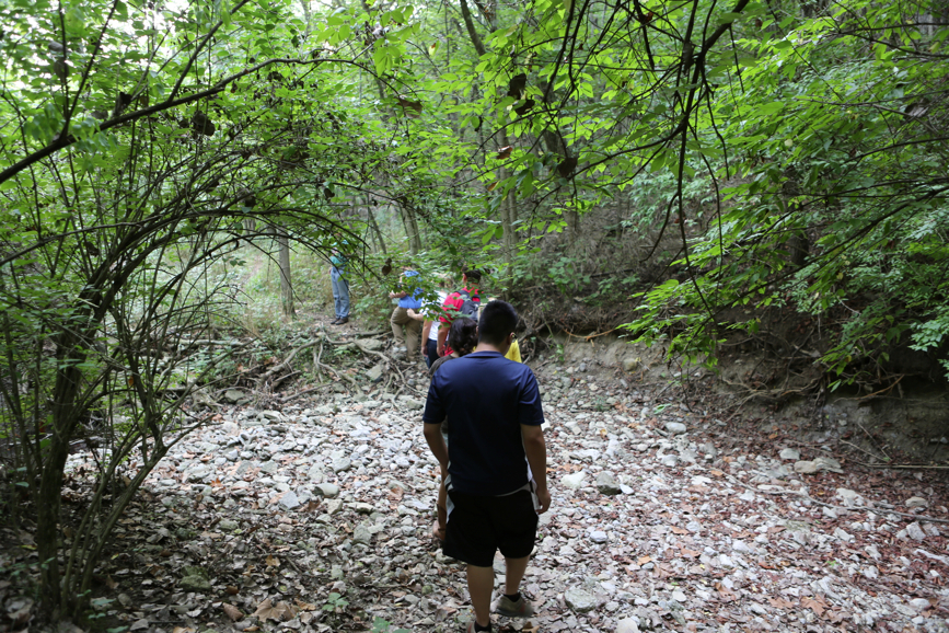 Full Size Image = 7335 K