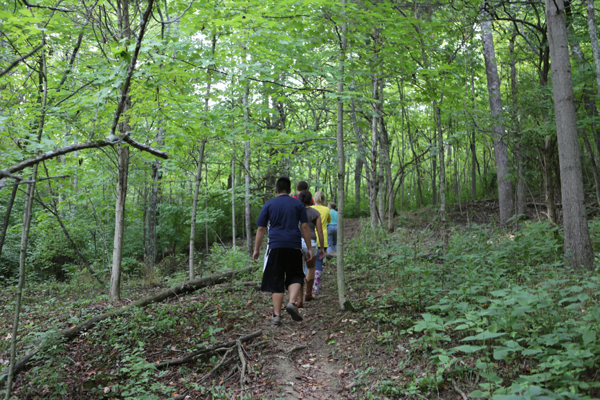 Full Size Image = 6818 K