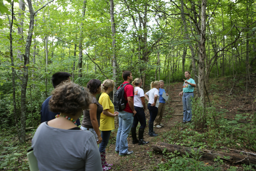 Full Size Image = 6001 K