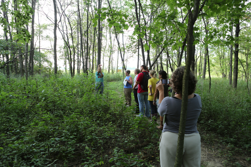 Full Size Image = 7096 K