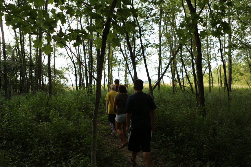 Full Size Image = 5436 K