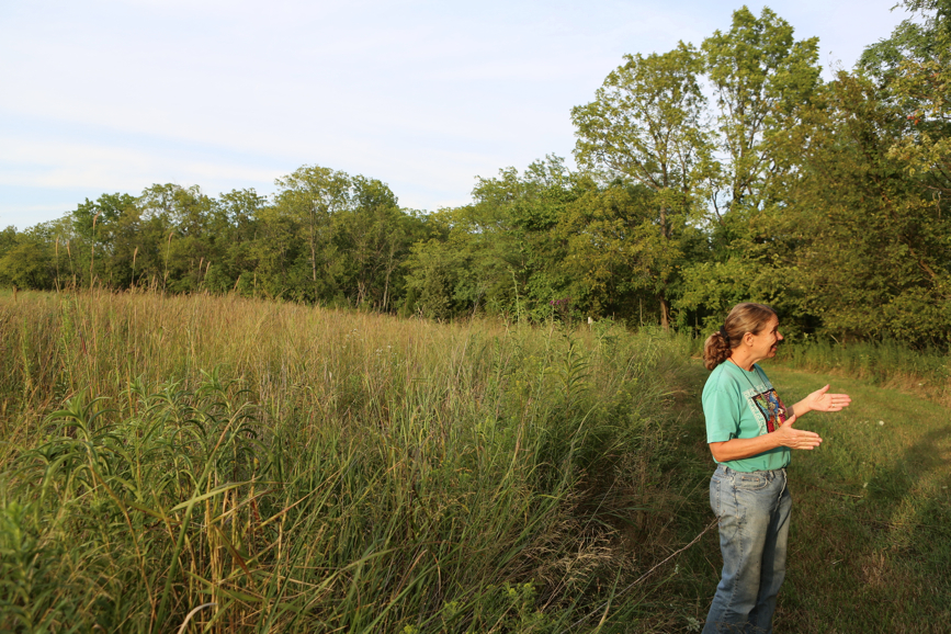 Full Size Image = 6341 K