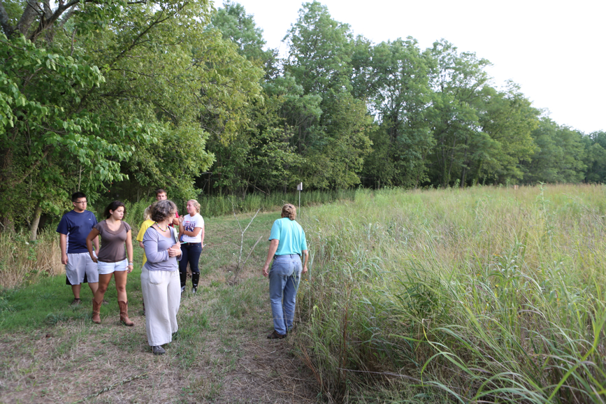 Full Size Image = 6053 K