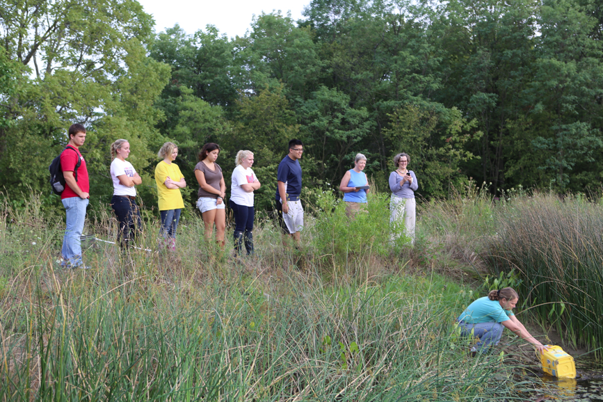 Full Size Image = 6452 K