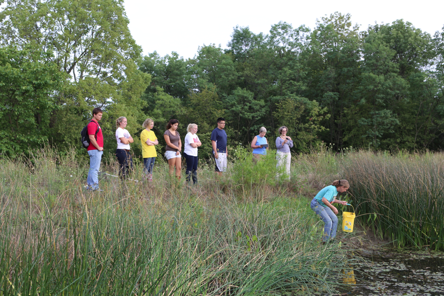 Full Size Image = 6486 K