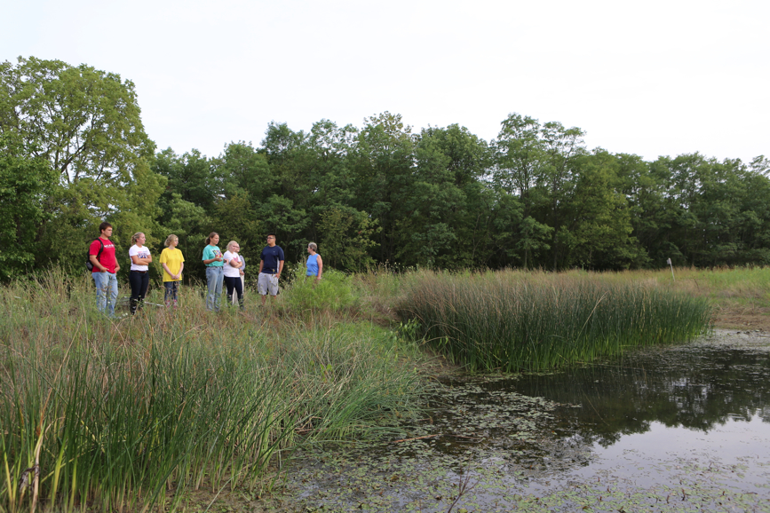 Full Size Image = 5493 K