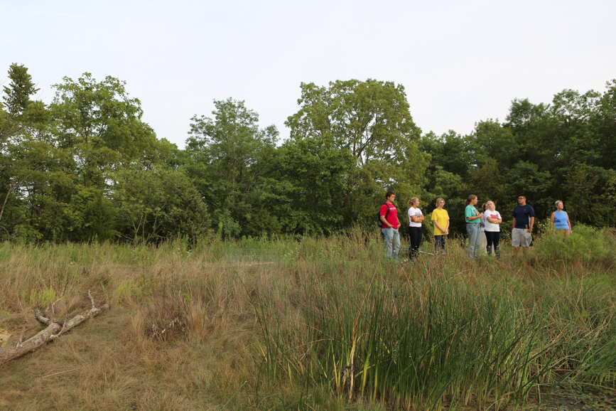 Full Size Image = 6135 K