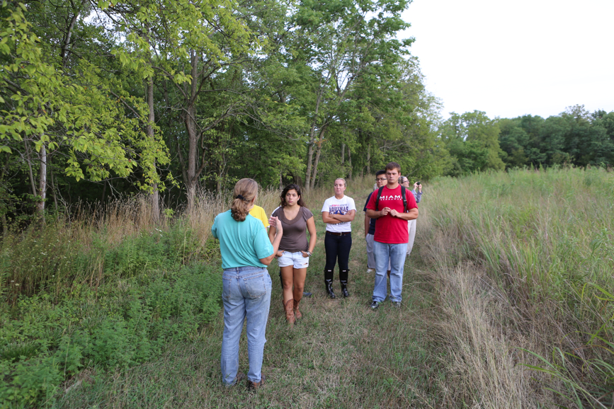 Full Size Image = 6553 K