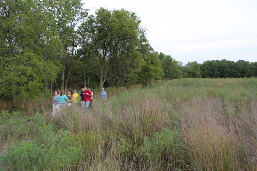 Full Size Image = 5604 K