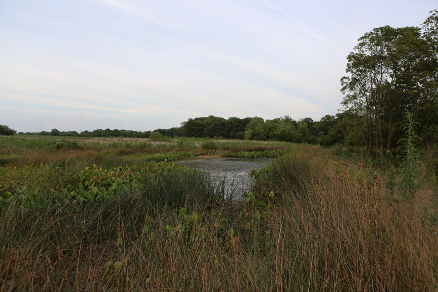 Full Size Image = 4968 K