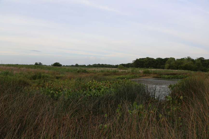 Full Size Image = 4353 K