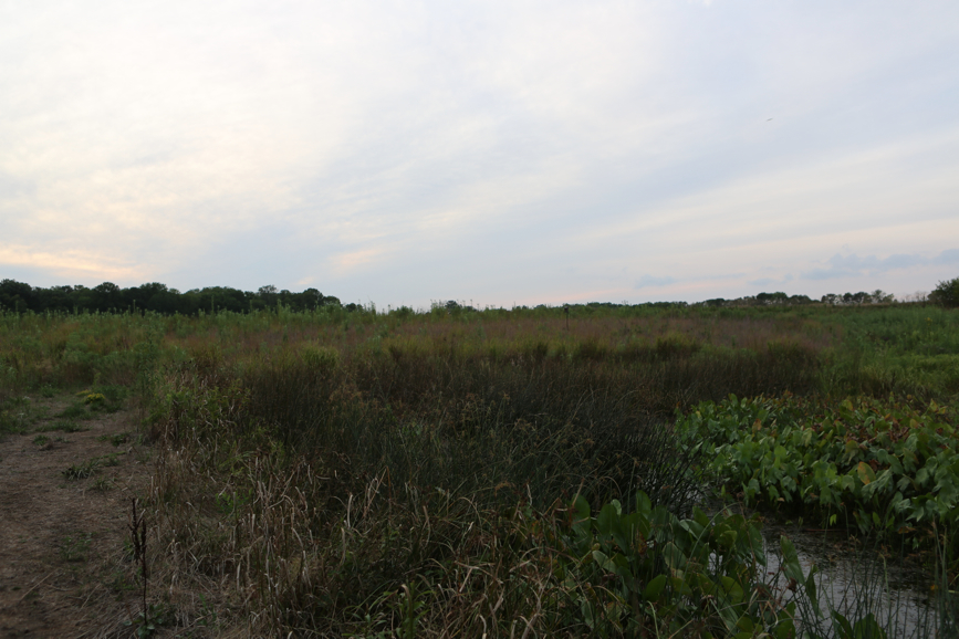 Full Size Image = 3584 K