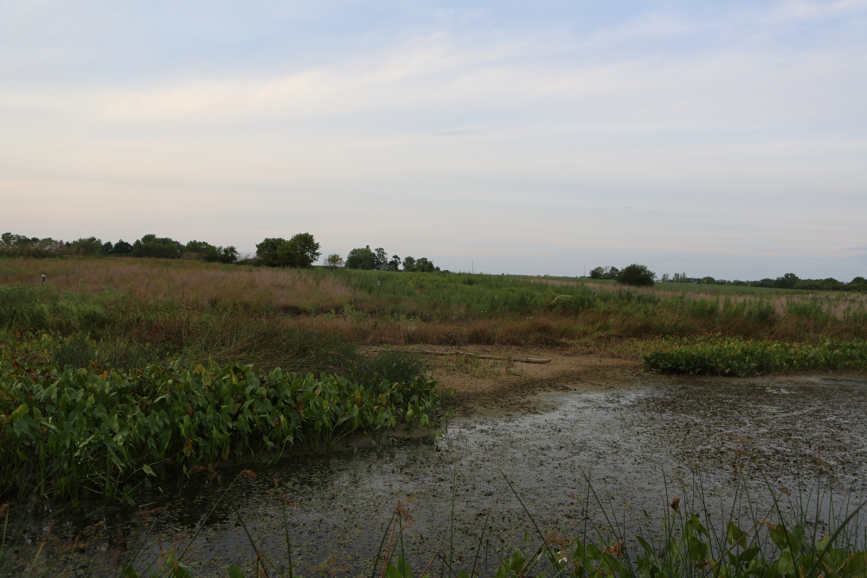 Full Size Image = 3719 K