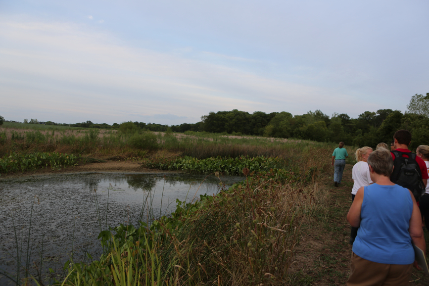 Full Size Image = 3698 K