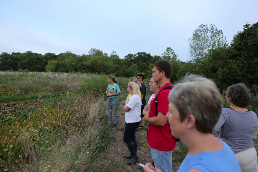 Full Size Image = 4619 K