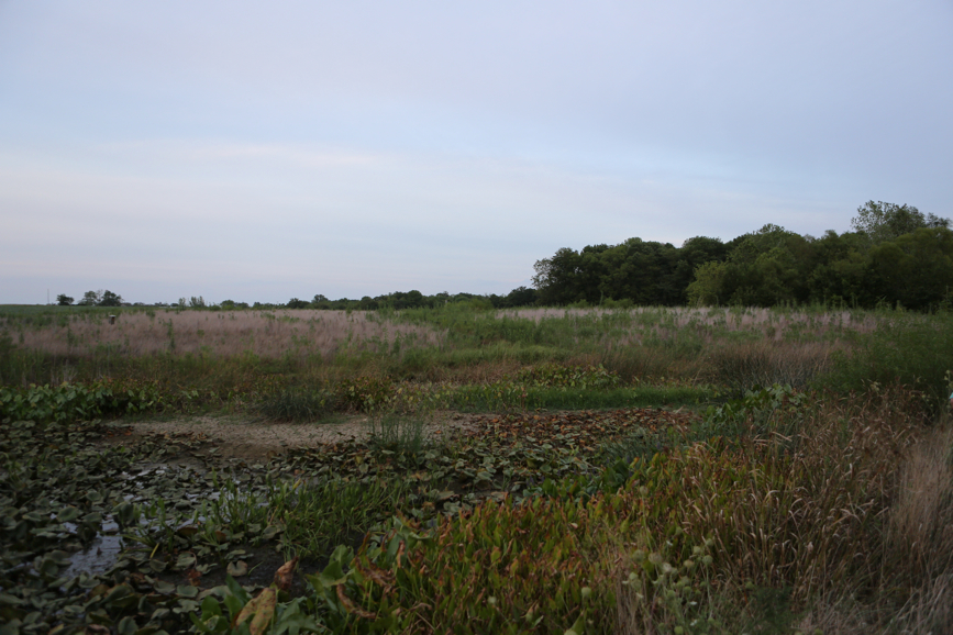 Full Size Image = 4417 K