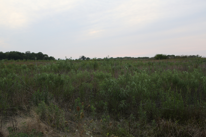 Full Size Image = 4480 K