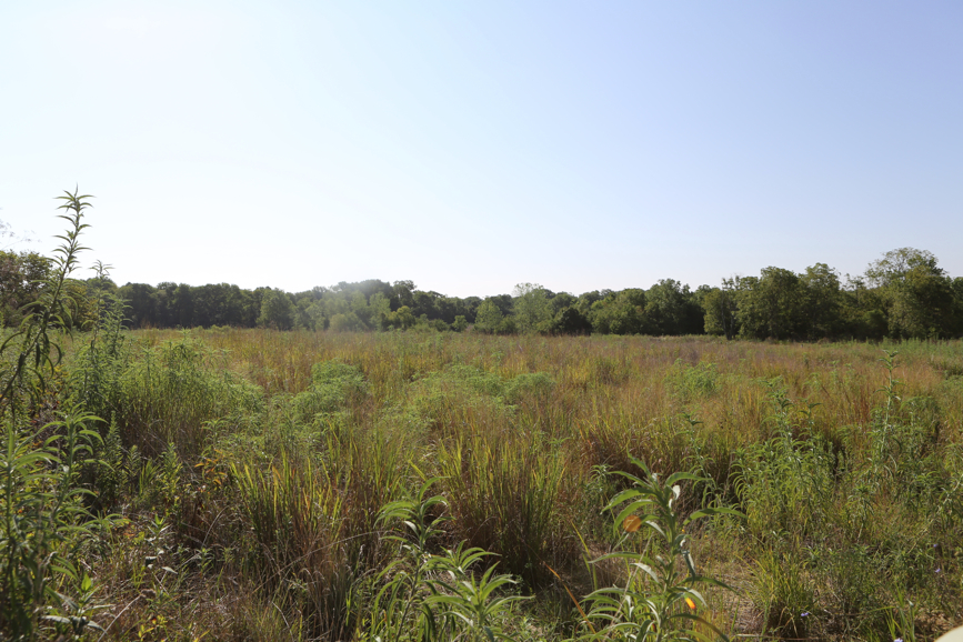 Full Size Image = 5362 K