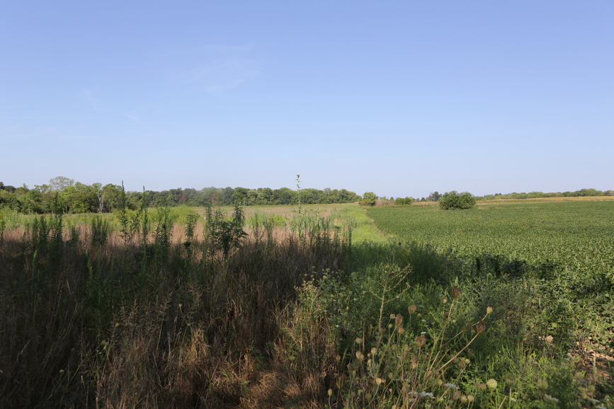 Full Size Image = 4664 K