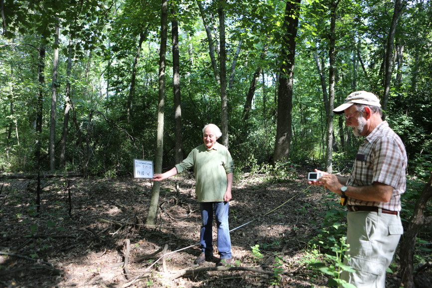 Full Size Image = 7870 K