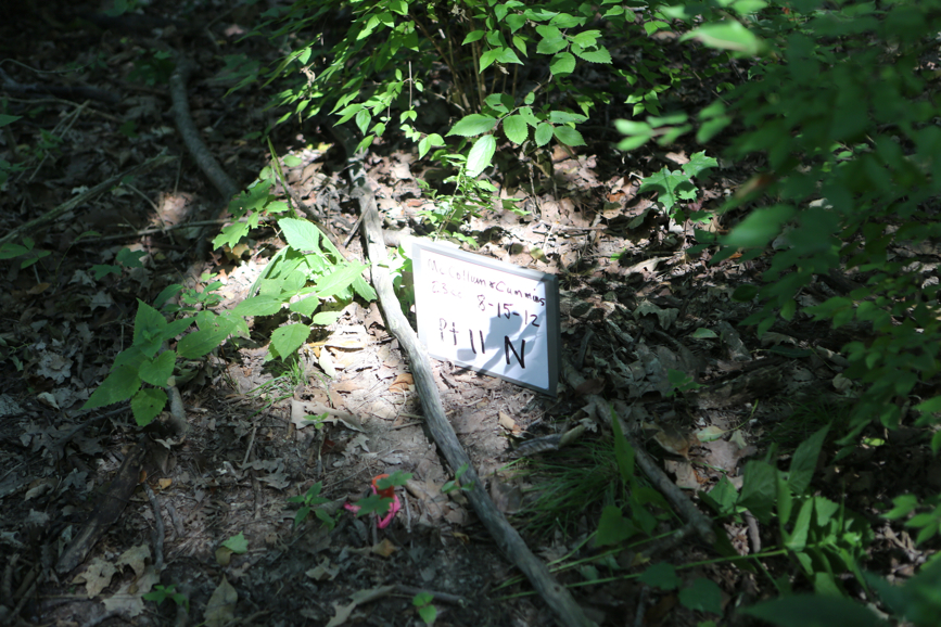 Full Size Image = 4858 K