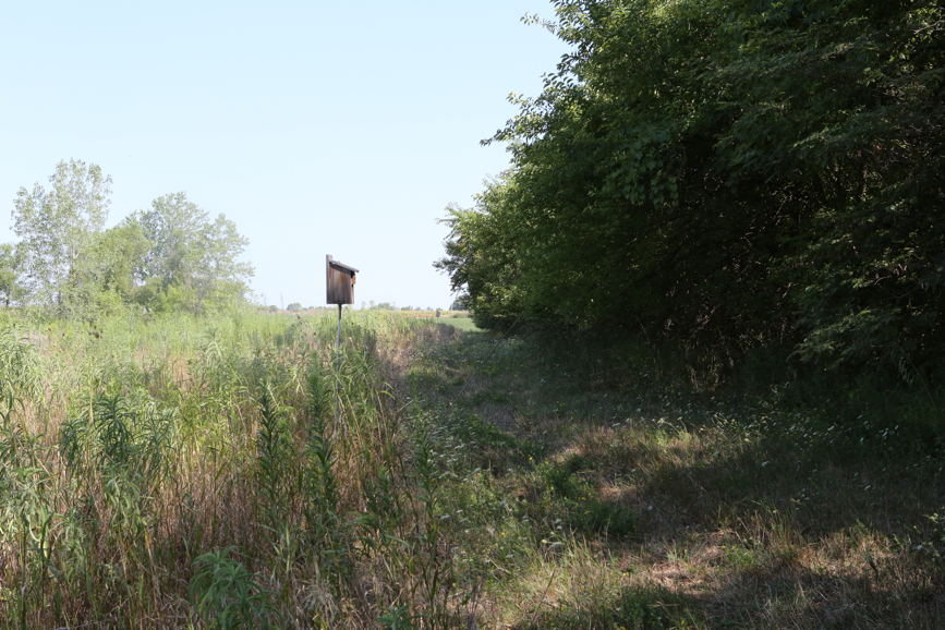 Full Size Image = 5974 K