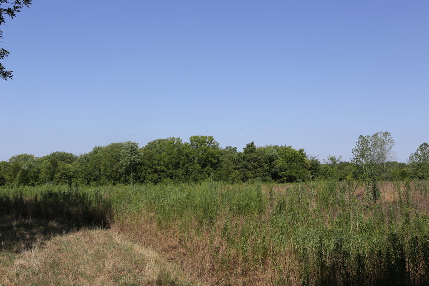 Full Size Image = 5266 K