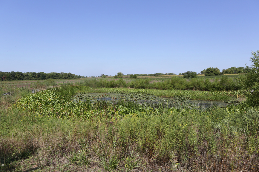 Full Size Image = 6201 K