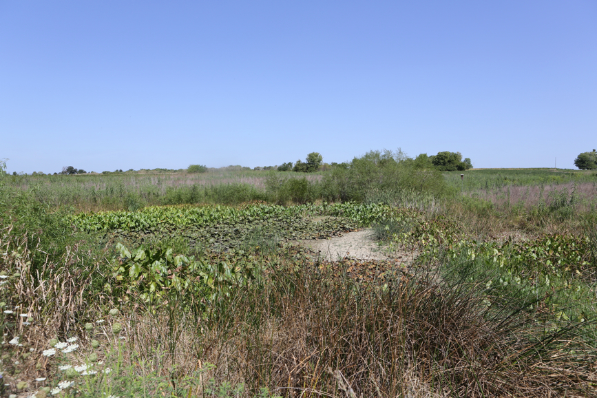 Full Size Image = 6287 K