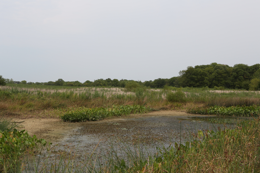 Full Size Image = 5070 K