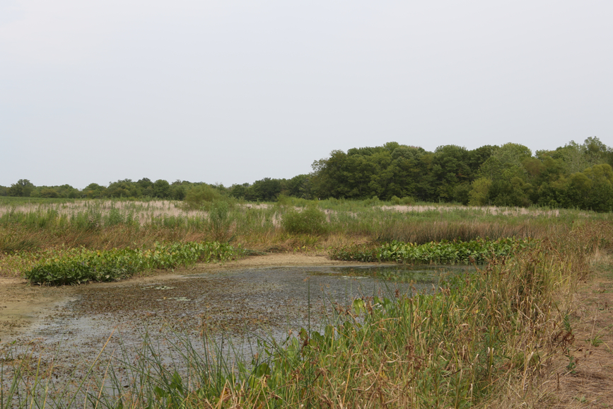 Full Size Image = 5247 K