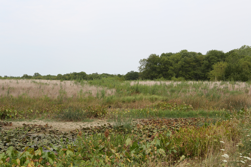 Full Size Image = 5410 K