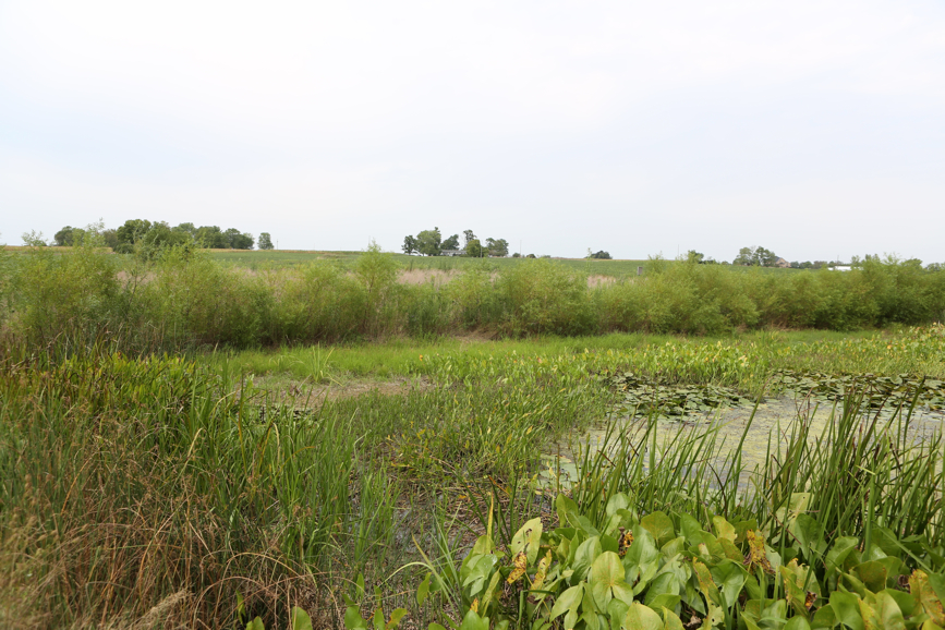 Full Size Image = 5354 K