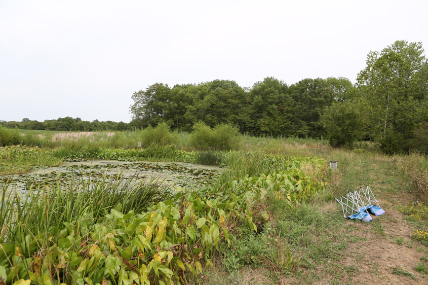 Full Size Image = 6041 K